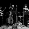 MUSICA (12)